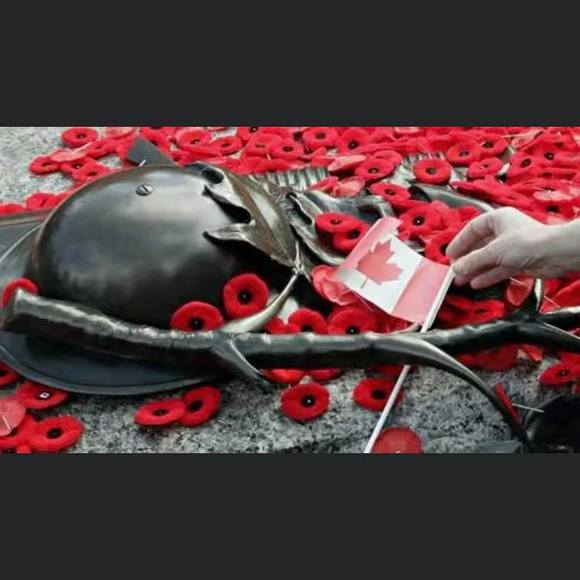 Meet your Posher, Jeff - Picture 1 of 1